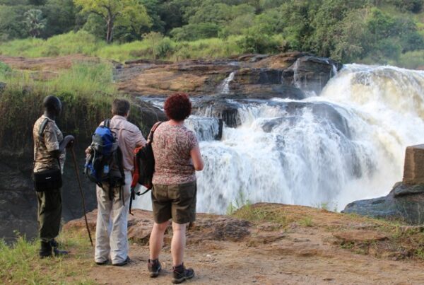 The Mighty Murchison Falls: Uganda’s Most Powerful Waterfall