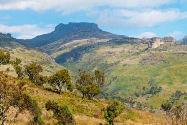 The Narus and Kidepo Valleys: Safari Highlights Explained