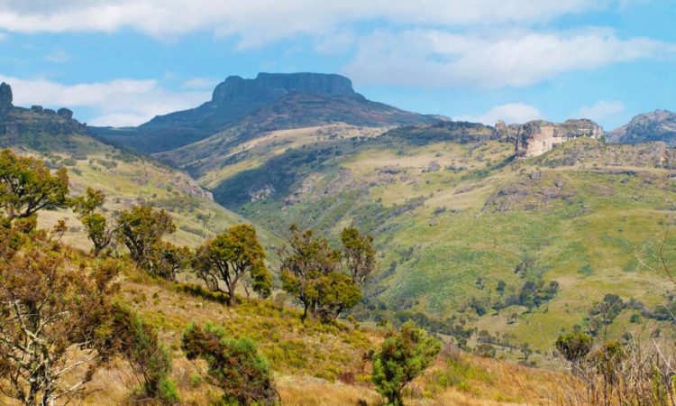 The Narus and Kidepo Valleys: Safari Highlights Explained