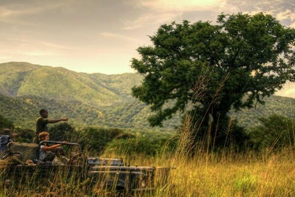 The Toro-Semuliki Wildlife Reserve: What You Need to Know
