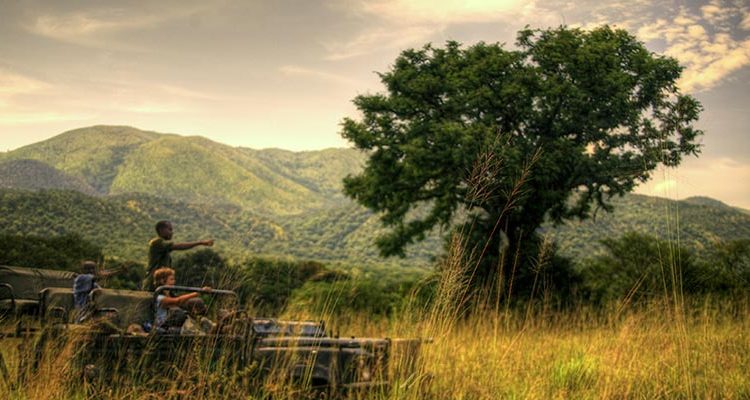 The Toro-Semuliki Wildlife Reserve: What You Need to Know