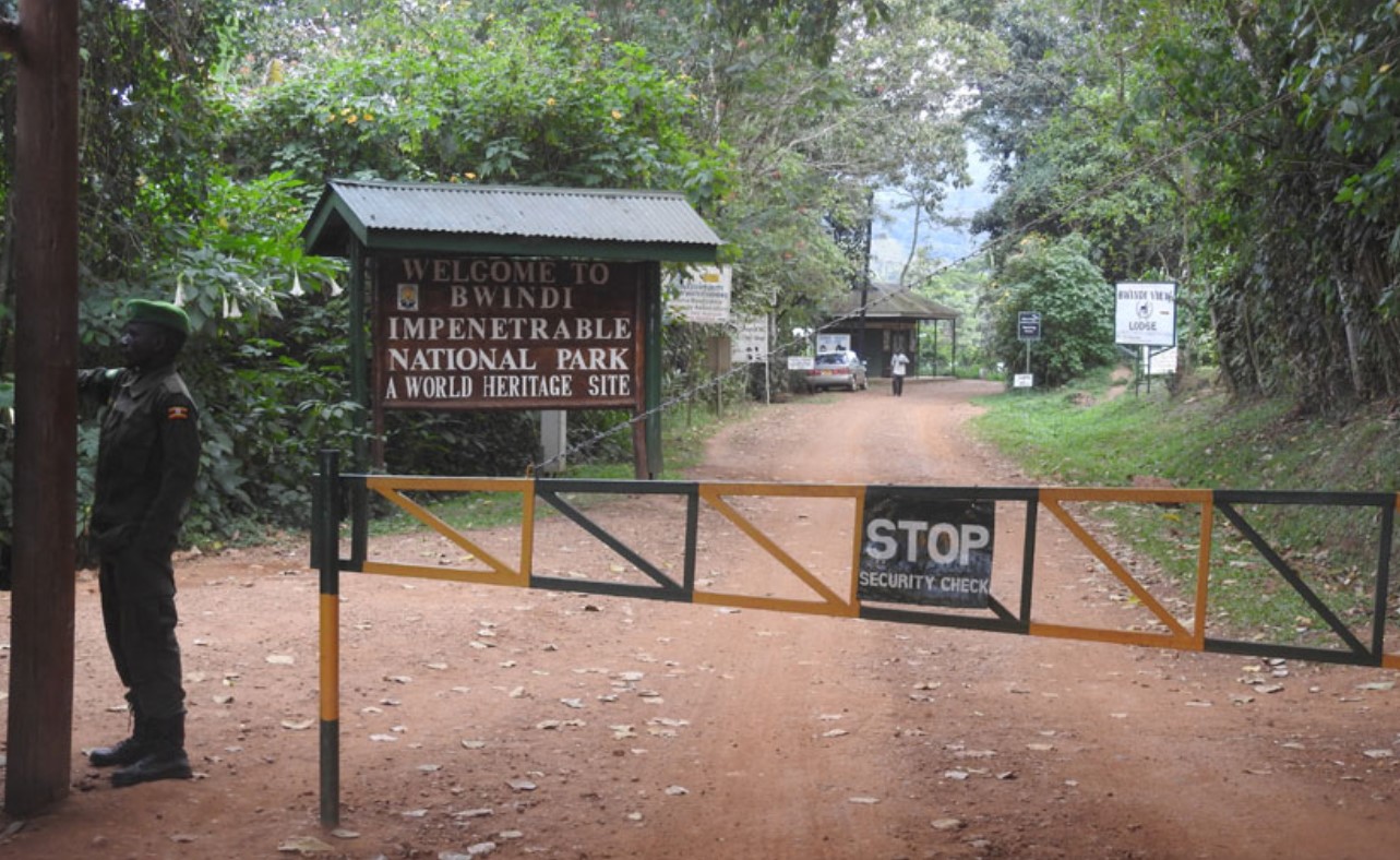 Pick-Up and Transfer to Bwindi Impenetrable Forest