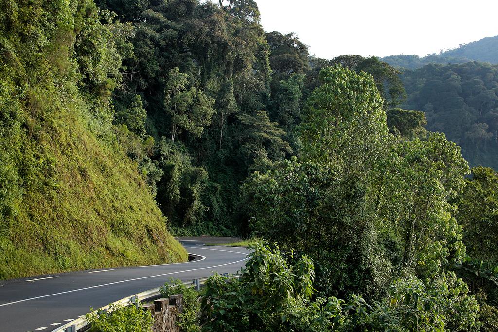 Volcanoes National Park to Kigali City Tour