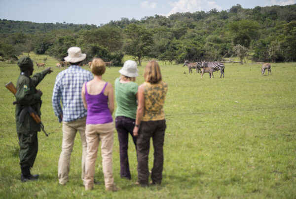 Walking Safaris in Lake Mburo: A Close Encounter with Wildlife