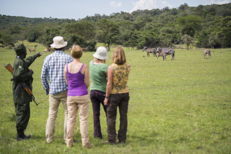 Walking Safaris in Lake Mburo: A Close Encounter with Wildlife