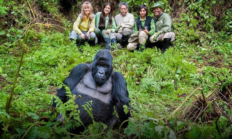 bwindi gorilla tours