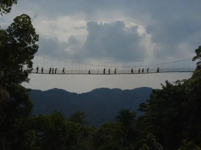 Canopy walk Nyungwe-Volcanoes National Park