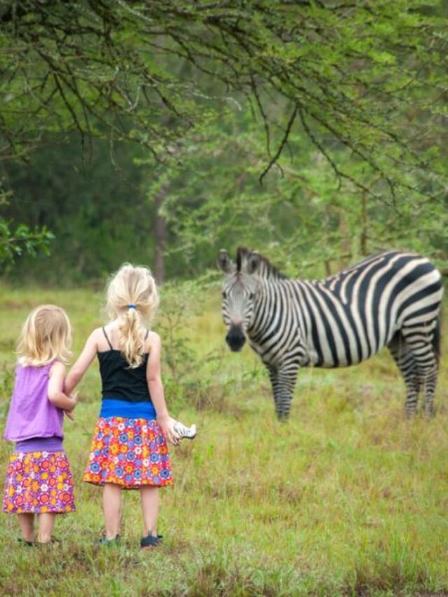 Africa Wildlife Safaris
