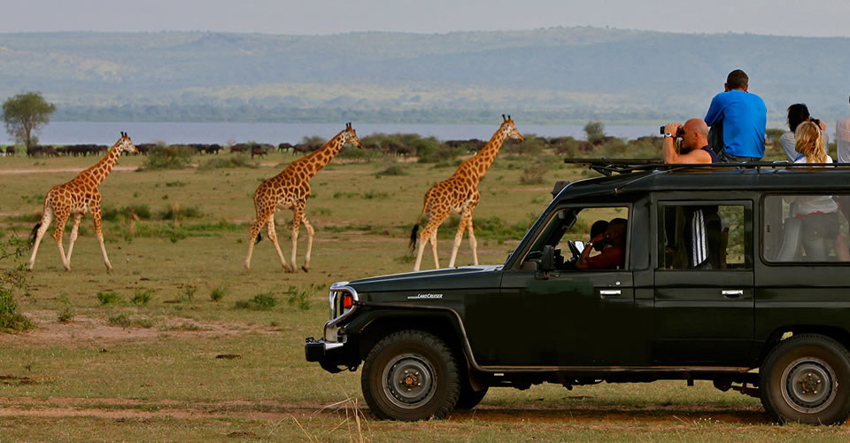 game drive in murchison falls national park