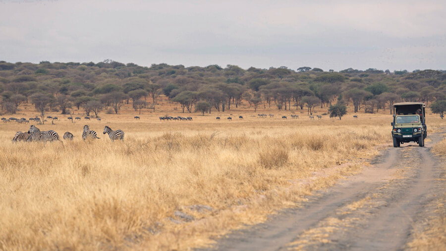 Tarangire National Park