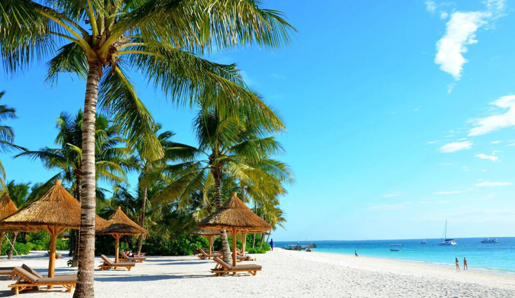10-Day Nyerere National Park and Zanzibar Adventure