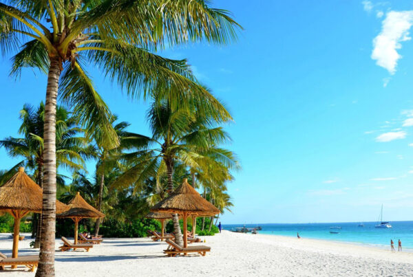 10-Day Nyerere National Park and Zanzibar Adventure