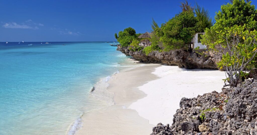 10-Day Stone Town & Zanzibar Sand & Selous Safari