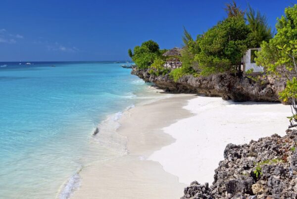 10-Day Stone Town & Zanzibar Sand & Selous Safari