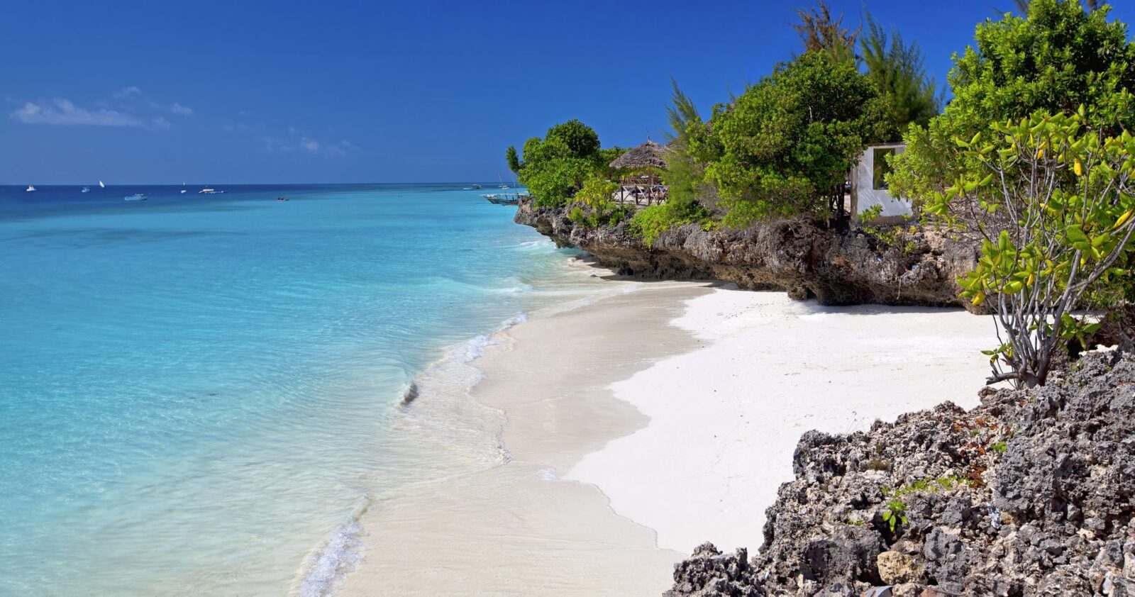 10-Day Stone Town & Zanzibar Sand & Selous Safari