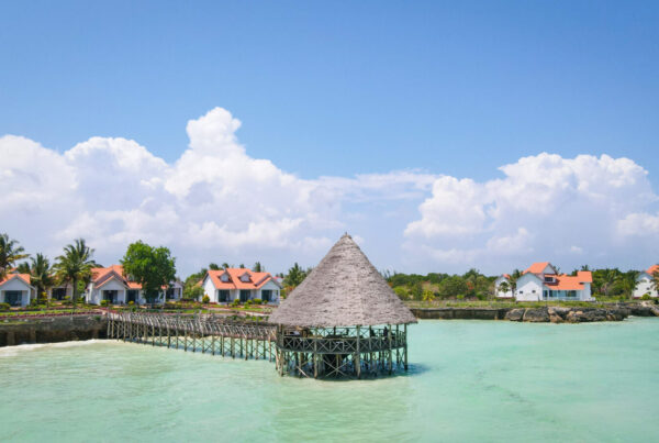 11-Day Tanzania Safari with Zanzibar Beach Break