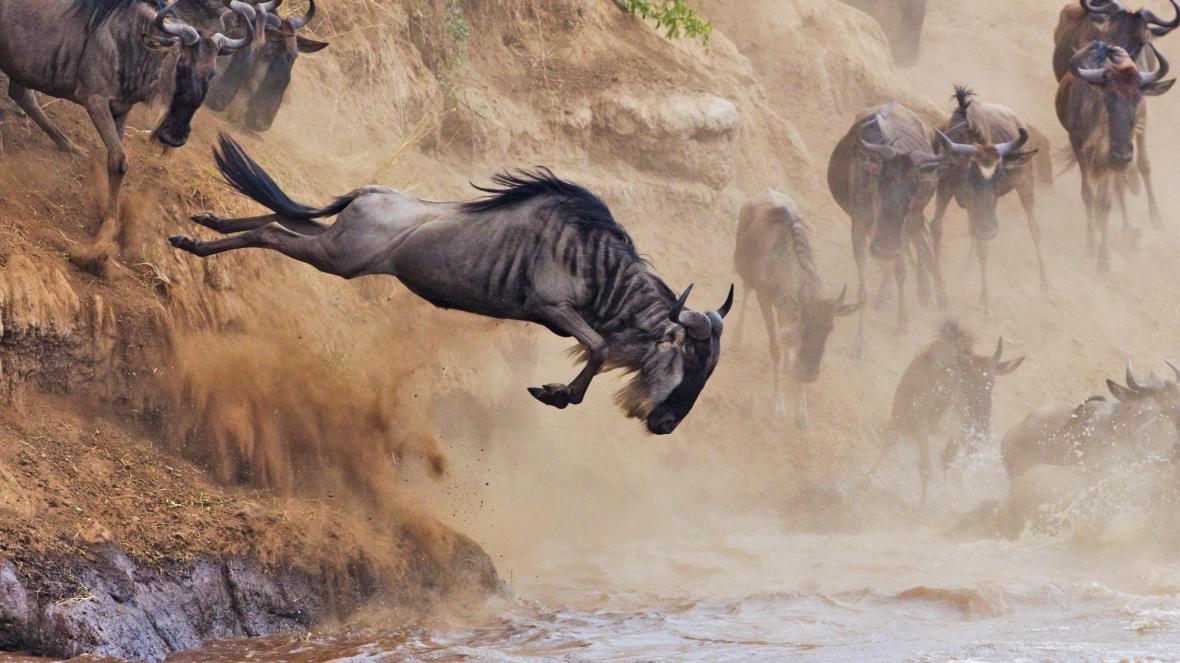 5-Day Great Migration Fly in from Zanzibar