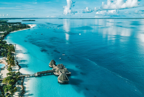 6-Day Serengeti National Park & Zanzibar