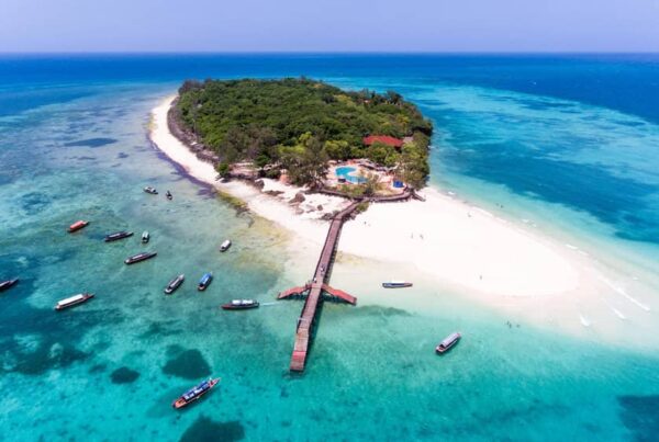 8-Day Beach Safari Zanzibar and Lake Manyara