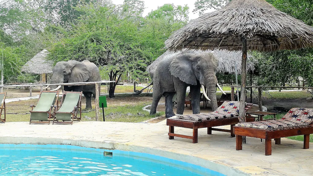 10-Day Stone Town & Zanzibar Sand & Selous Safari