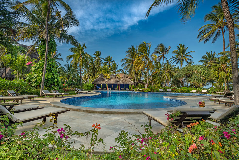 11-Day Tanzania Safari with Zanzibar Beach Break