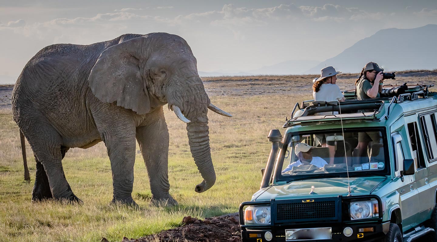 5-Day Itinerary for Game Drive in Arua with Limited Time
