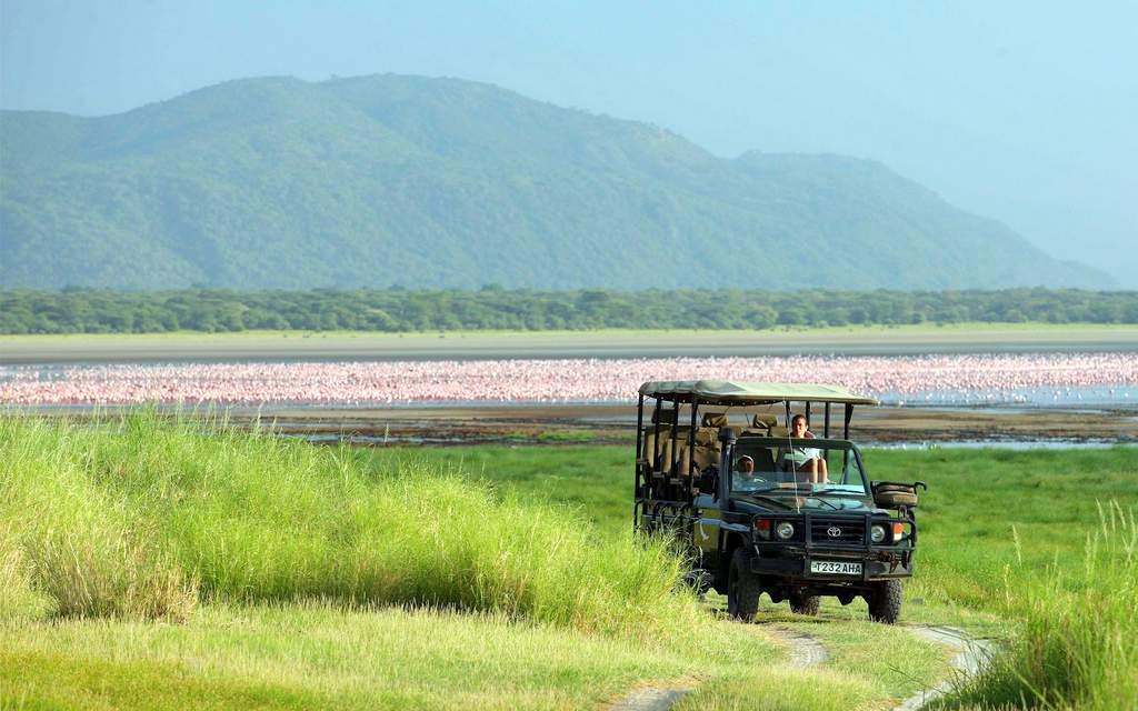 Game drive in Lake Manyara NP