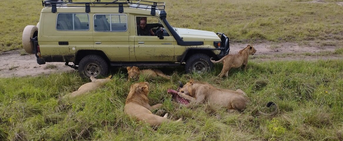 How much does a Uganda safari cost?