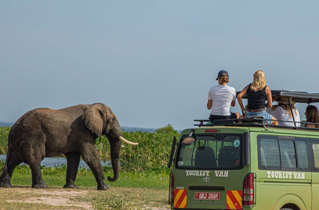 How much does a Uganda safari cost?