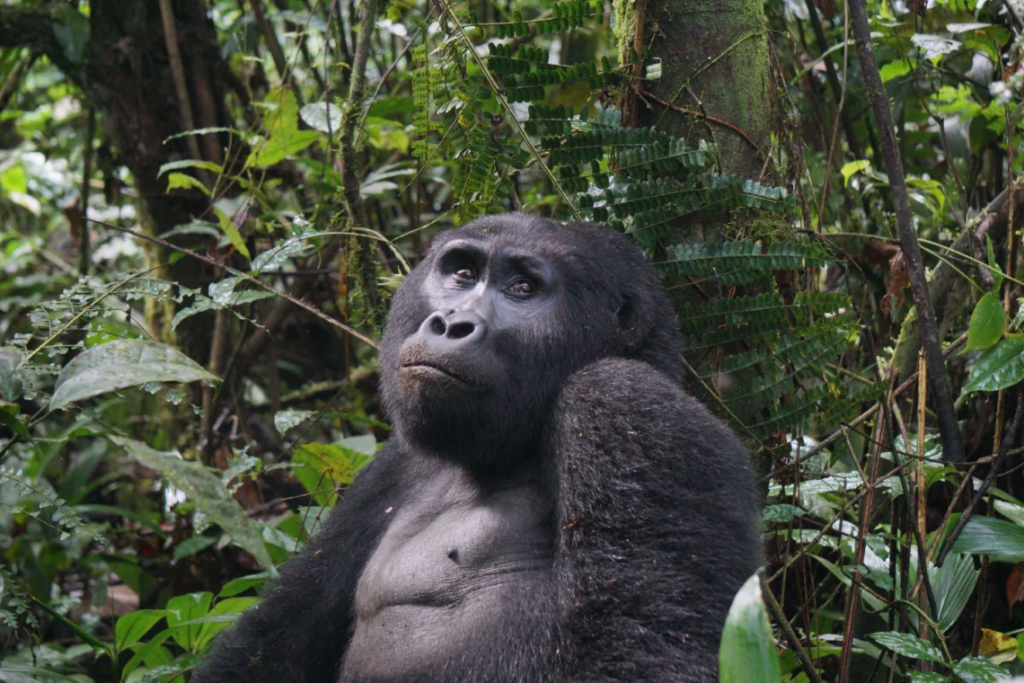 How safe is Uganda for first-time travellers?