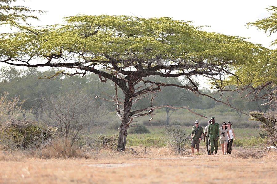 10-Day Stone Town & Zanzibar Sand & Selous Safari
