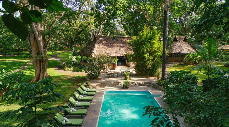 11-Day Tanzania Safari with Zanzibar Beach Break