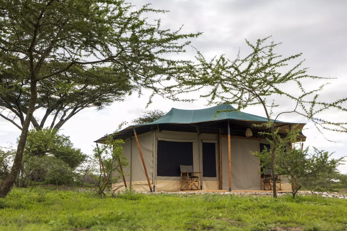 Safari Haven Migration Camp. 3-Day Honeymoon Fly in Zanzibar Ndutu with Hot Balloon