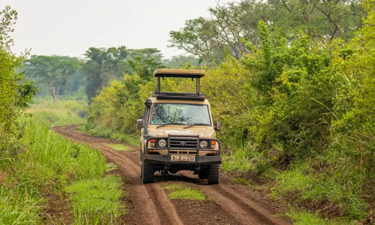What surface roads and driving conditions should I expect in Uganda?