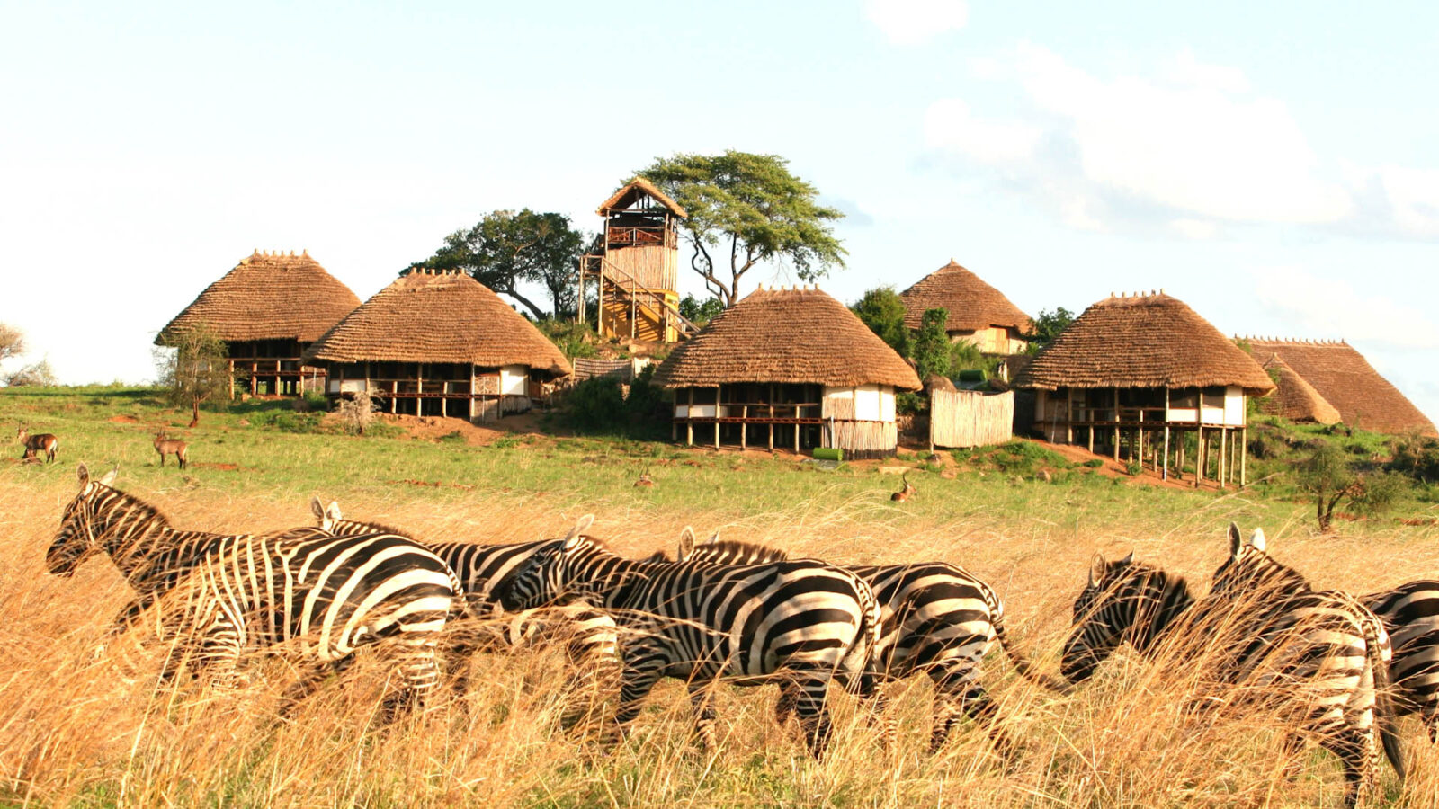 What’s the best way to budget for Uganda travel?