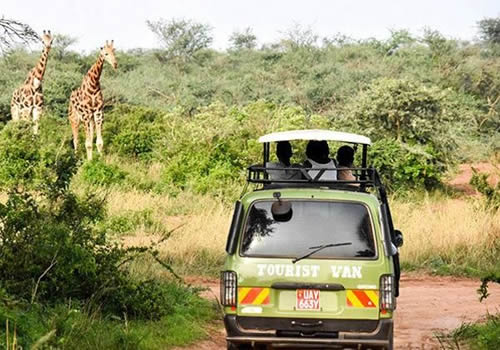 What’s the best way to travel from Kampala to Uganda’s national parks?