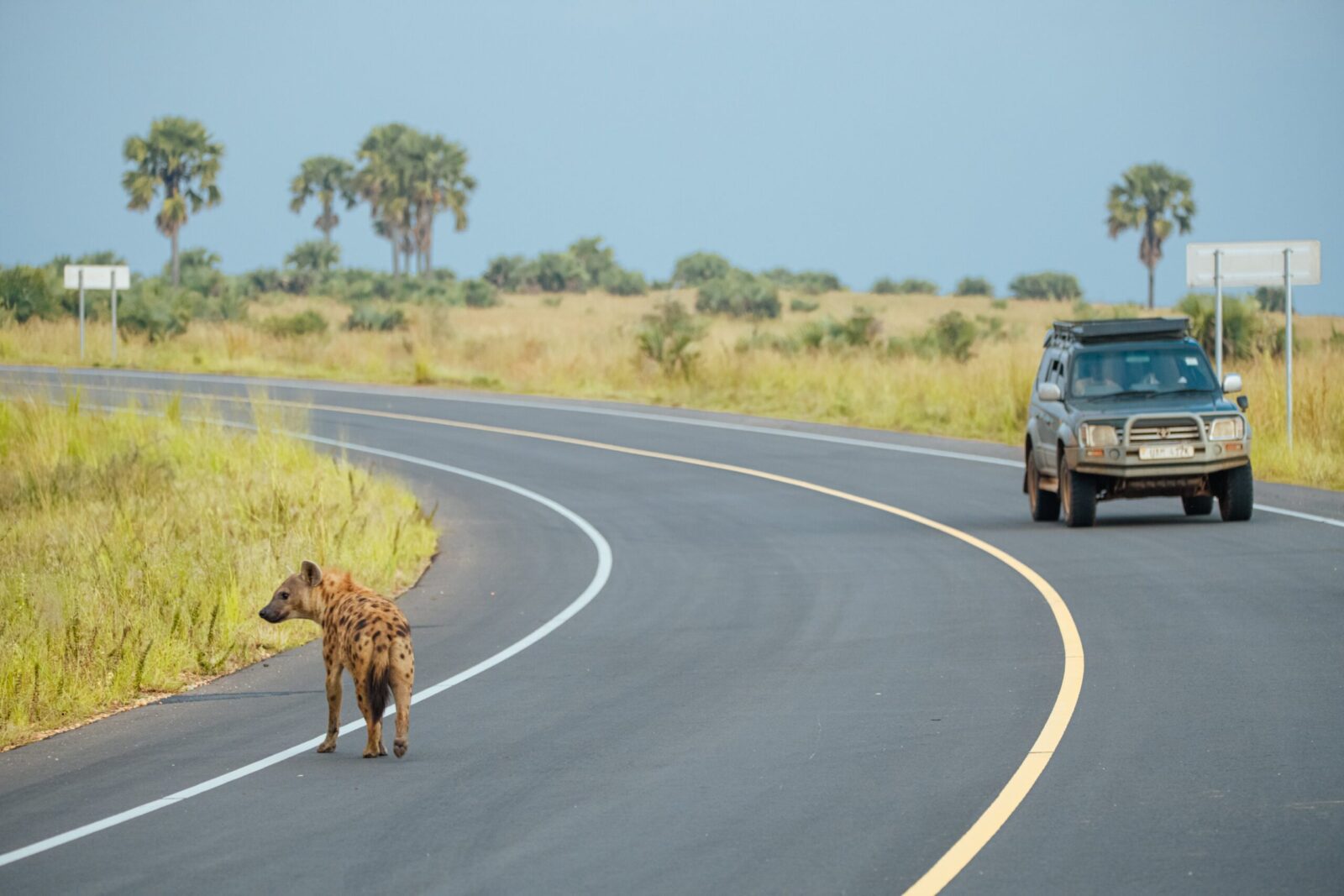 What’s the best way to travel from Kampala to Uganda’s national parks?