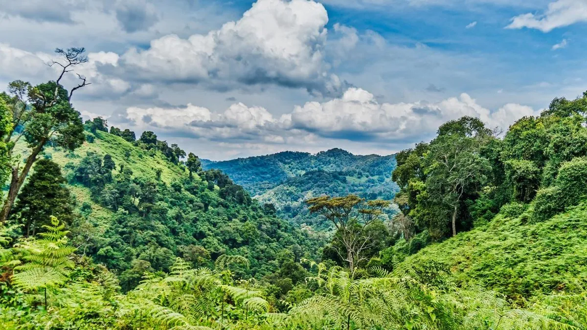 What’s the weather like month-by-month across Uganda?