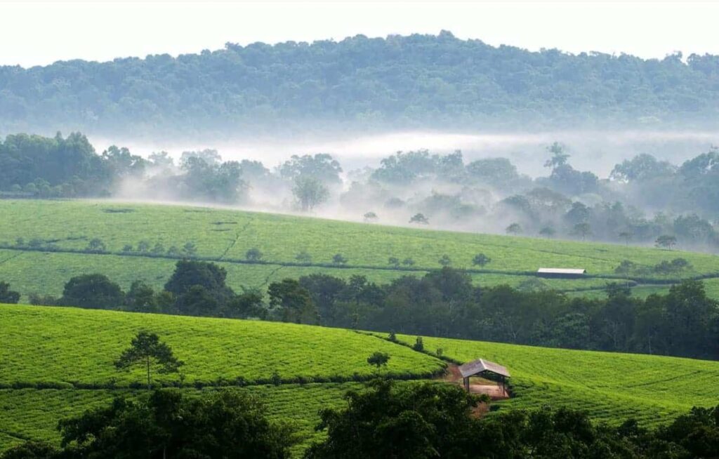What’s the weather like month-by-month across Uganda?