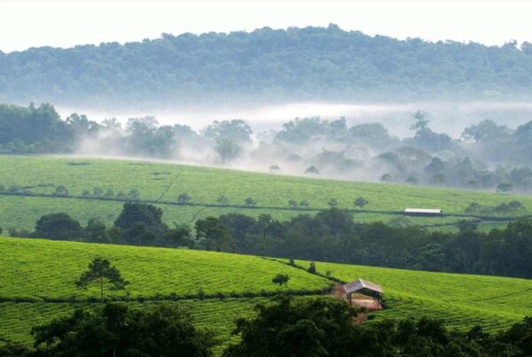 What’s the weather like month-by-month across Uganda?