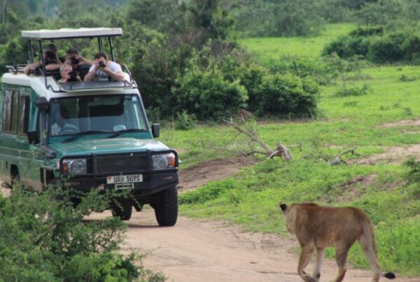 Which national parks in Uganda are less crowded and off the beaten path?