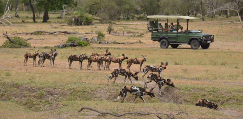 10-Day Nyerere National Park and Zanzibar Adventure