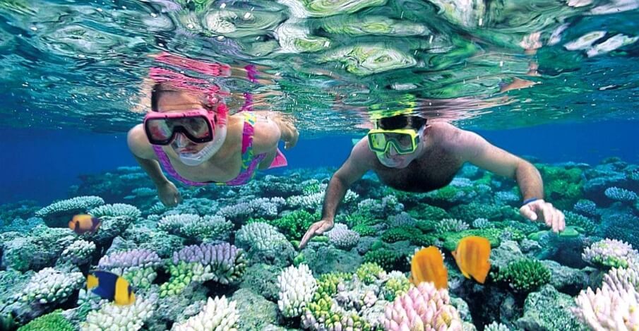 9-Day Best of Tanzania Safari and Zanzibar Beaches