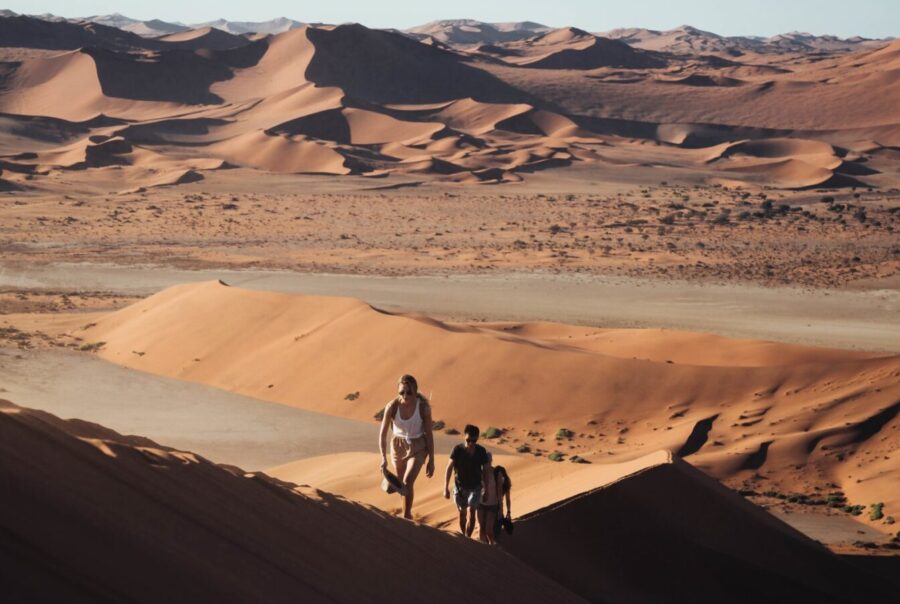 12-Day Southern Namibia Grand Loop Safari