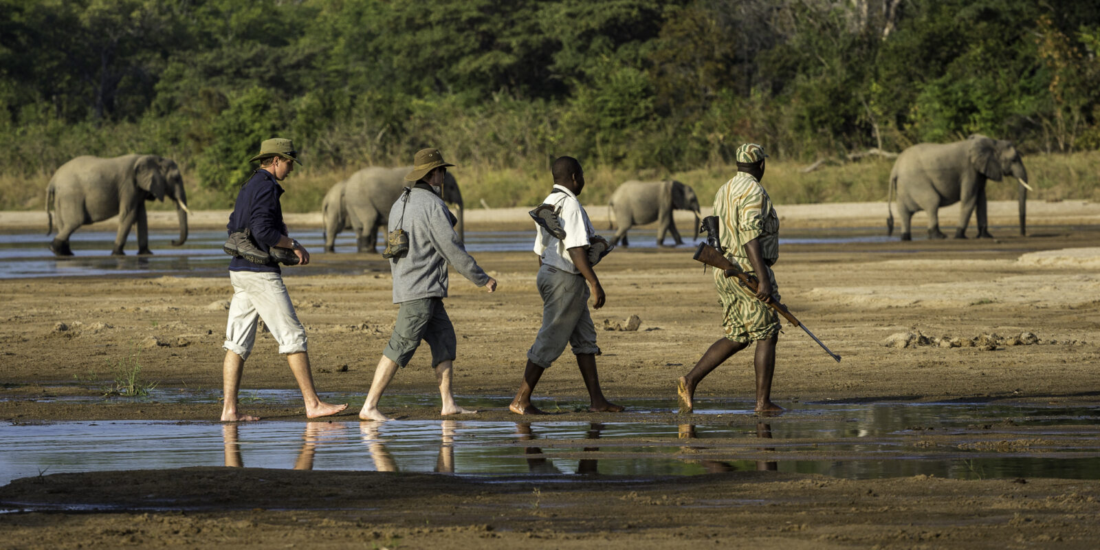 Africa wildlife safaris Luangwa National Park