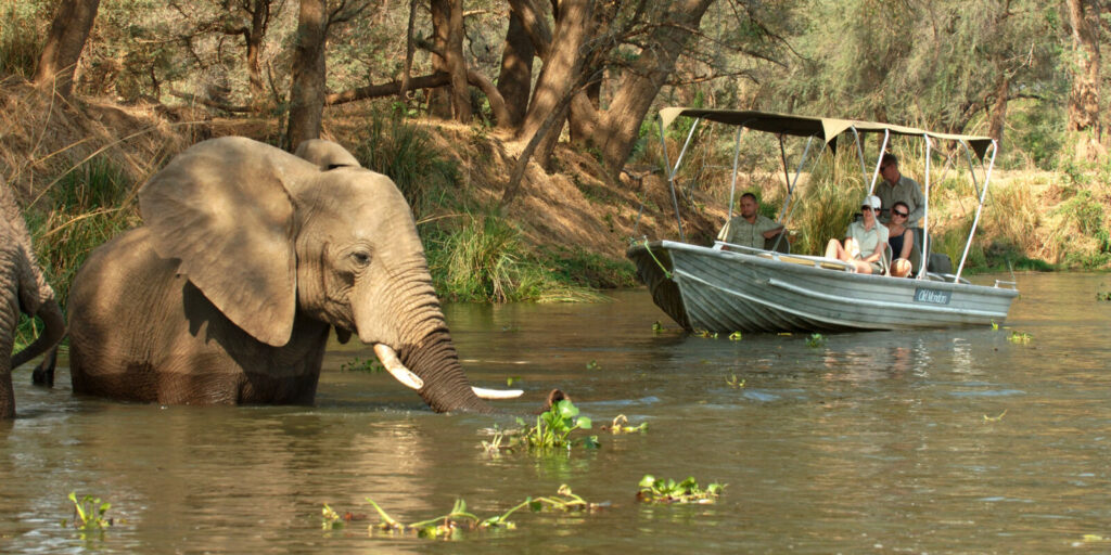 Boating and River Safaris