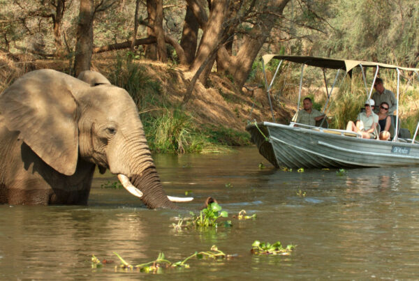 Boating and River Safaris