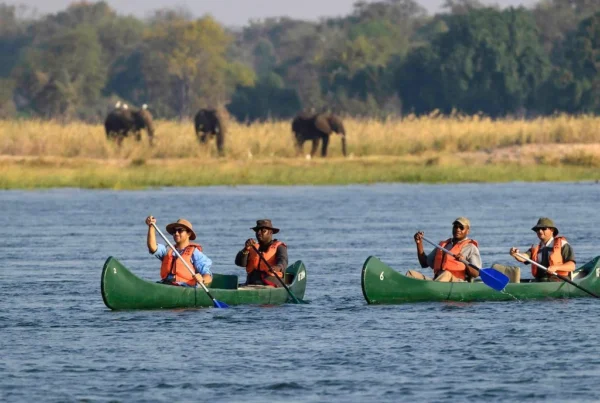 Canoe Safari Holidays