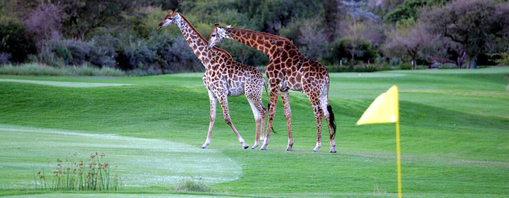 Golf Holidays in Africa
