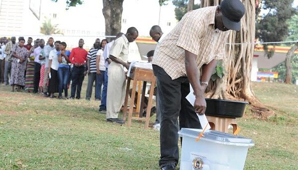 How to Achieve a Successful Safari Trip in Uganda During Elections